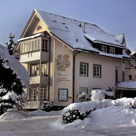 Villa Katharina Penthouse Wohnung Willingen  Exterior foto